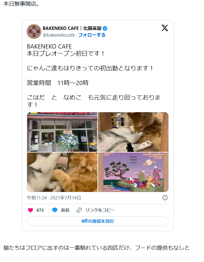 猫カフェ